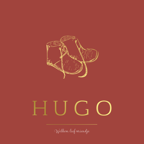 Lief geboortekaartje met schoentjes voor een jongetje.