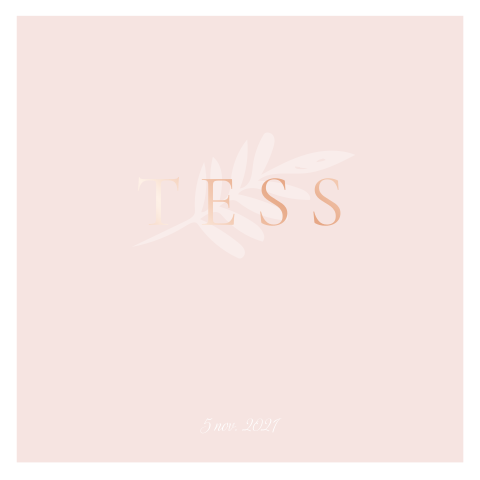 Lief meisjes geboortekaartje met folie en takjes