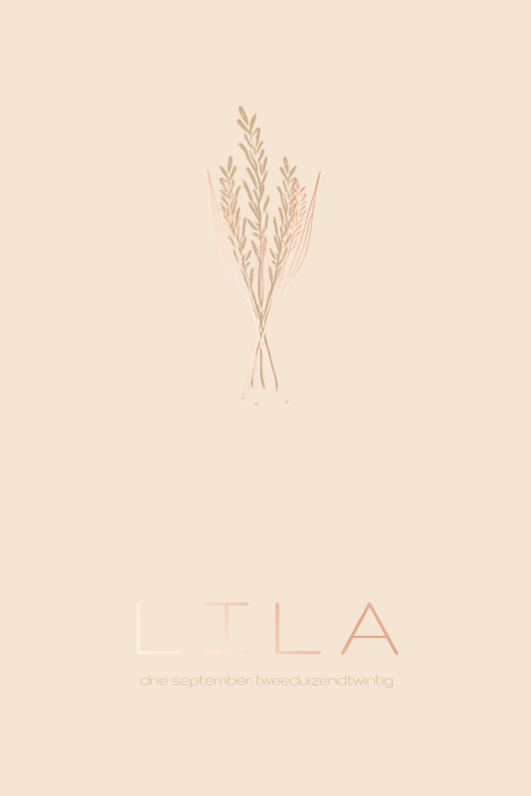 Creme geboortekaartje voor een meisje