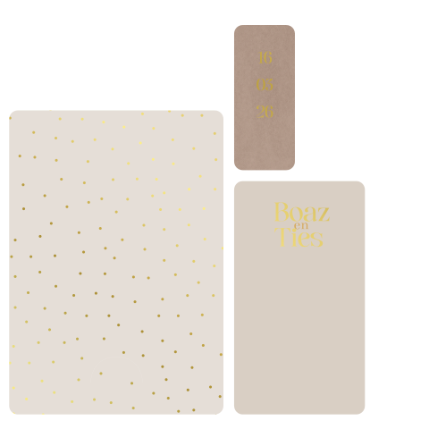 Tweeling geboortekaart set feestelijk met gouden stippen