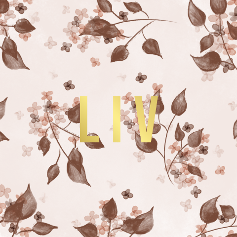 Lief geboortekaartje meisje winter herfst met goudfolie