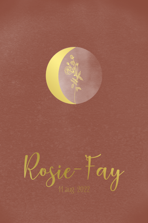 Lief maanstand geboortekaartje meisje roest