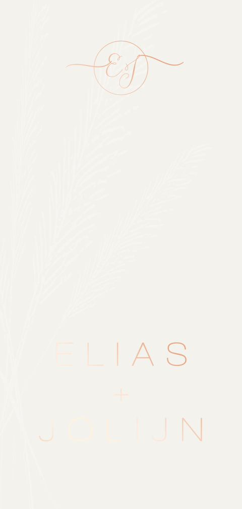 Creme trouwkaartje met pluimen in achtergrond