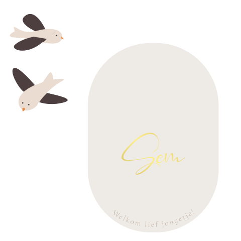 Jongens geboortekaartje met vogels