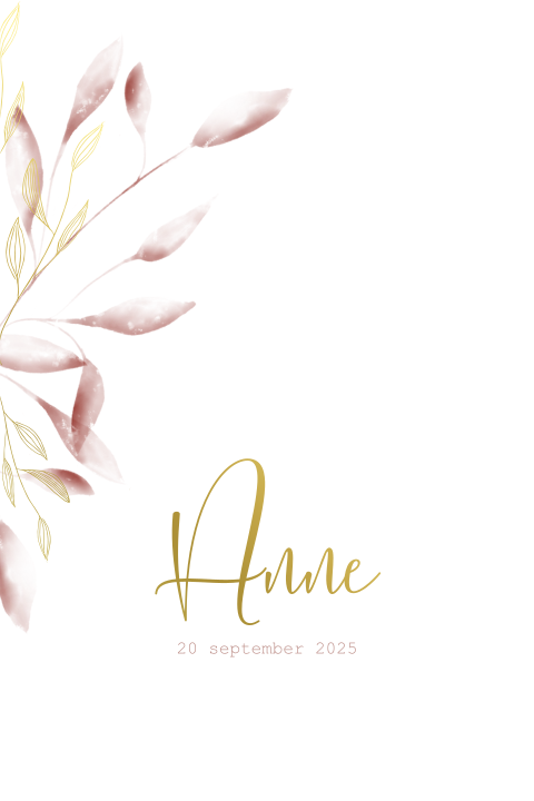 Lieve geboortekaart meisje met roze takjes