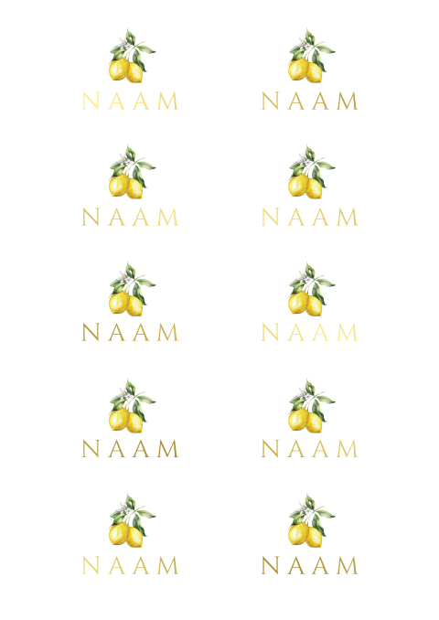 Naamkaartjes Italian Wedding