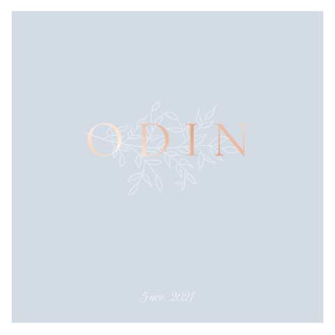 Lief lichtblauw jongens geboortekaartje met folie