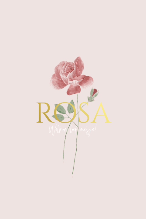 Geboortebloem geboortekaartje juni - Roos