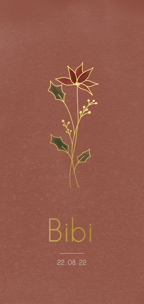 Geboortebloem geboortekaartje december - kerstster