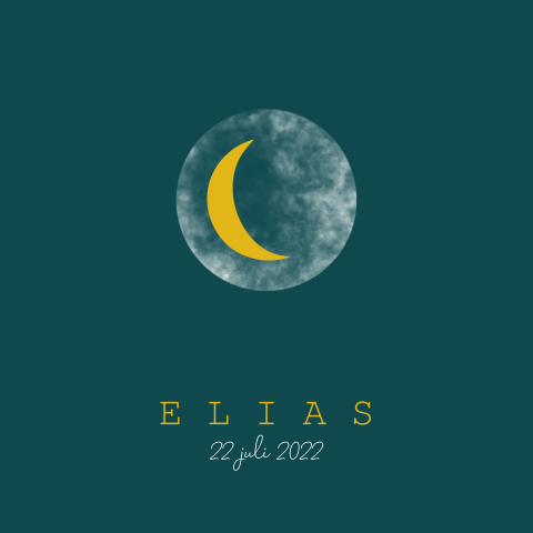 Vierkant geboortebord raam met maan