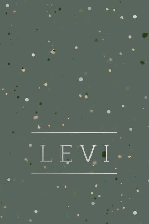 Stoer geboortekaartje jongen groen met folie