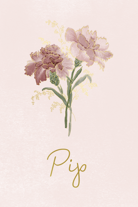 Geboortekaartje geboortebloem januari - Anjer