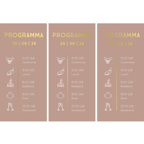 Drie dagplanningen met goudfolie en icoontjes