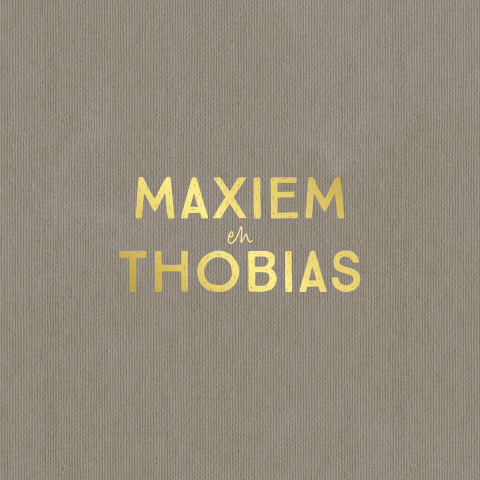 Enkel tweeling geboortekaartje met goudfolie taupe