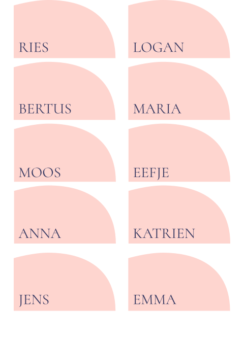 Naamkaartjes roze met blauwe tekst