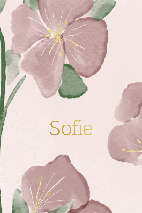 Lief geboortekaartje meisje met roze bloemen