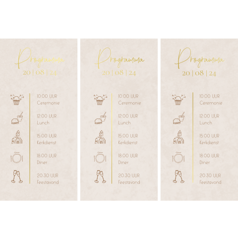 Beige velvet programma kaartjes