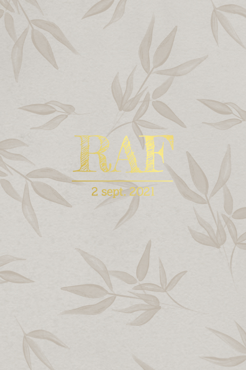 Geboortekaartje jongetje met takjes en folie