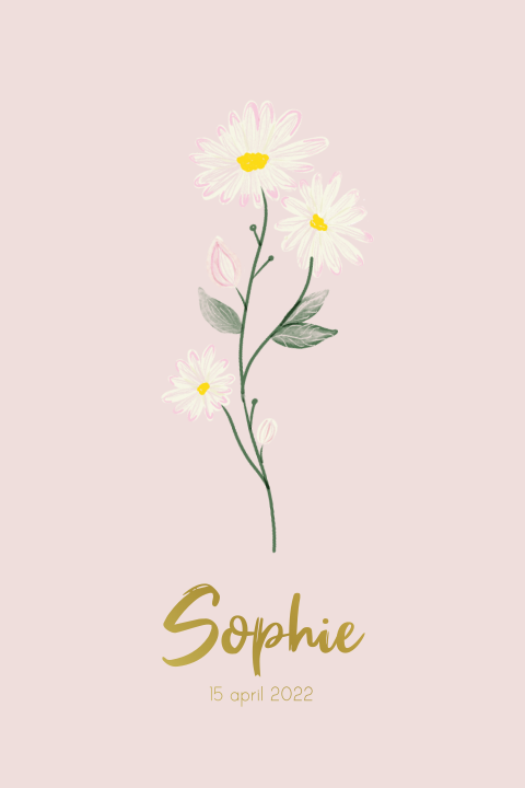 Poster geboortebloem april - madeliefje