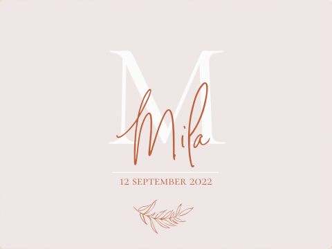 Memorybox lichtroze met roest