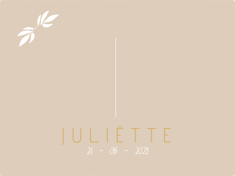 Memorybox taupe met takje