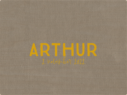 Memorybox taupe jongen