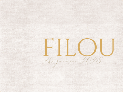 Memorybox linnenlook Filou