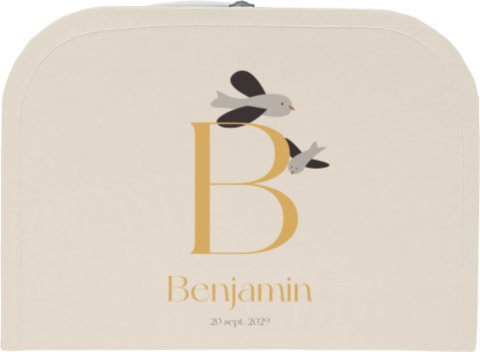 Koffertje Benjamin