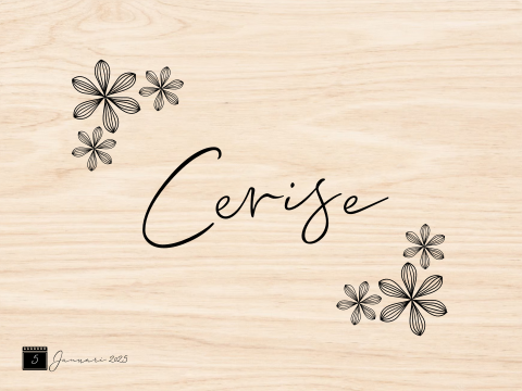 Memorybox bloemen Cerise