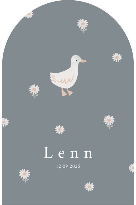 Geboortekaartje jongen met gansje en bloem in boogvorm