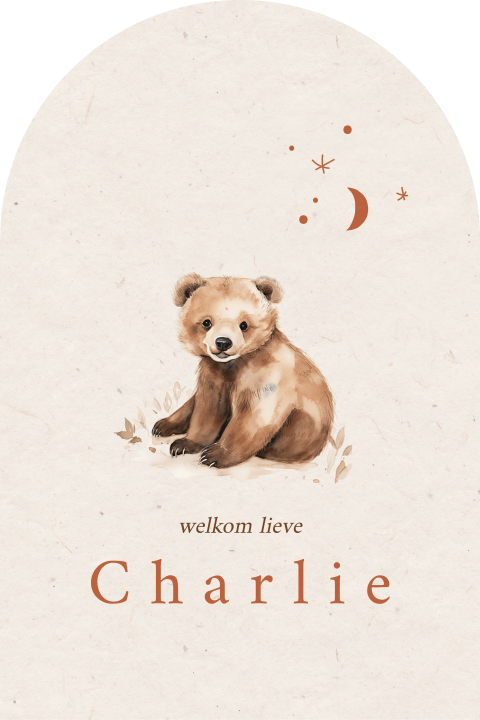 Geboortebord neutraal jongen meisje beertje in originele vorm