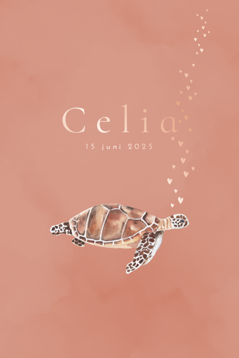 Geboortekaartje meisje met schildpad en rosefolie