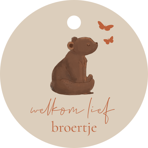 Labeltje doopsuiker traktatie jongen met beertje en vlinders
