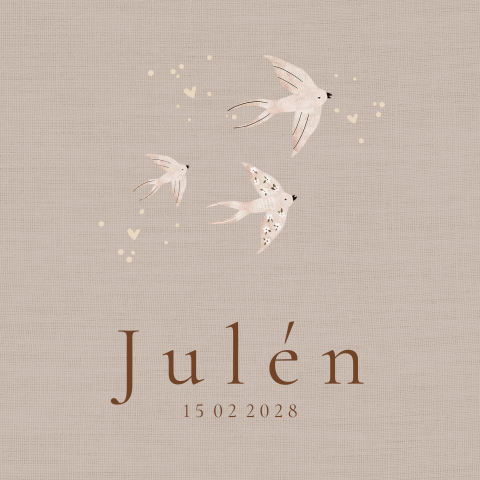 Geboorte tegeltje voor een jongen met zwaluwen