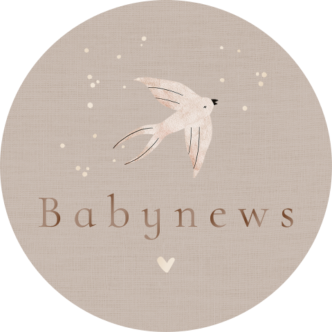 Sluitzegel met zwaluwen babynews