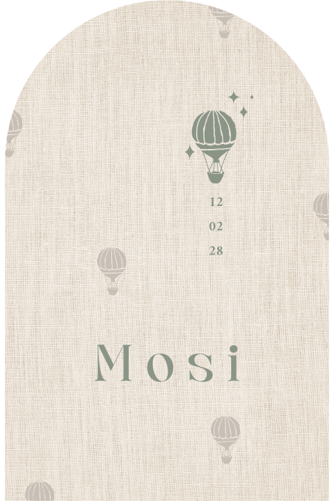 Geboortekaartje luchtballon jongen groen