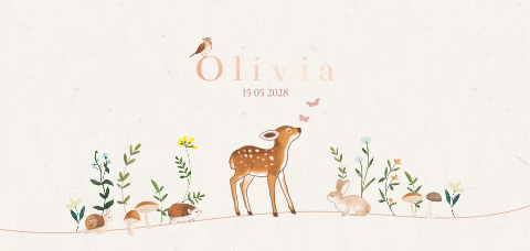 Geboortekaartje meisje met hertje , bosdieren en folie