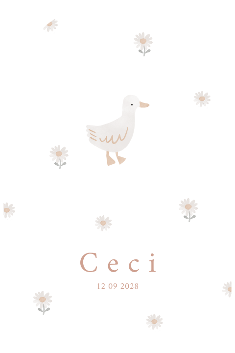 Geboortekaartje meisje eendje neutraal lief illustratie