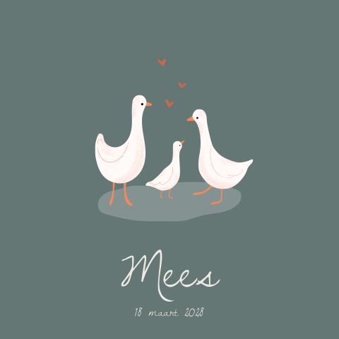 Geboortekaartje jongen met gansje familie