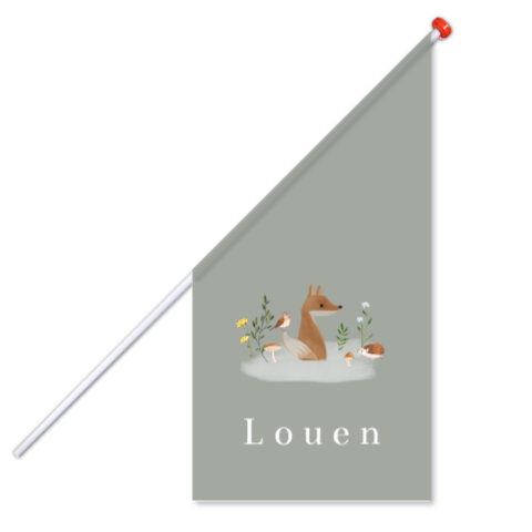 Geboortevlag jongen met bosdieren vosje