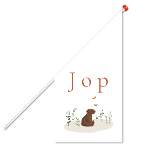 Geboortevlag voor een jongen met een beertje