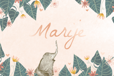 Tropische geboortekaartje met junglebladeren en getekend olifantje