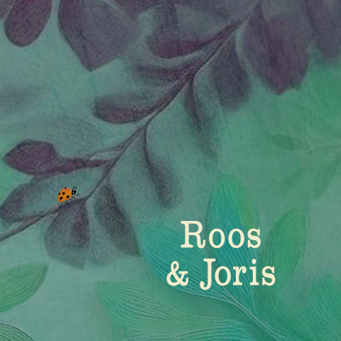 Save the date kaart magische bos en lieveheersbeestje