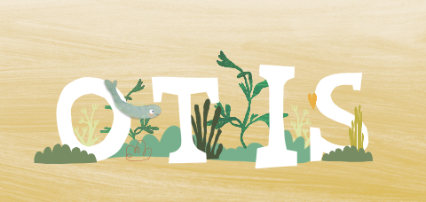 Collage geboortekaartje zeebodem met letters en visje