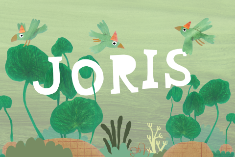 Geboortekaartje met vogels met feesthoedjes en grote letters
