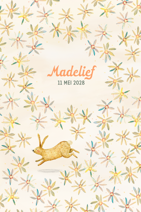 Geboortekaartje getekend haasje met madeliefjes 