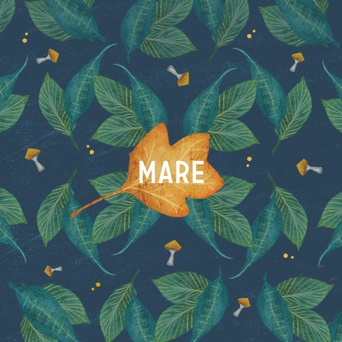 Geboortekaartje groene blaadjes en paddestoelen