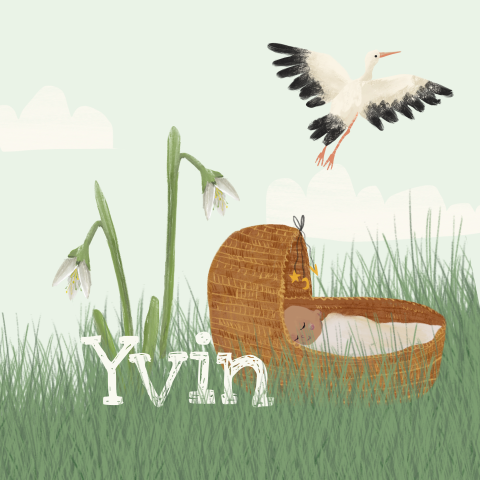 Geboortekaartje met tekening baby in wiegje in het gras