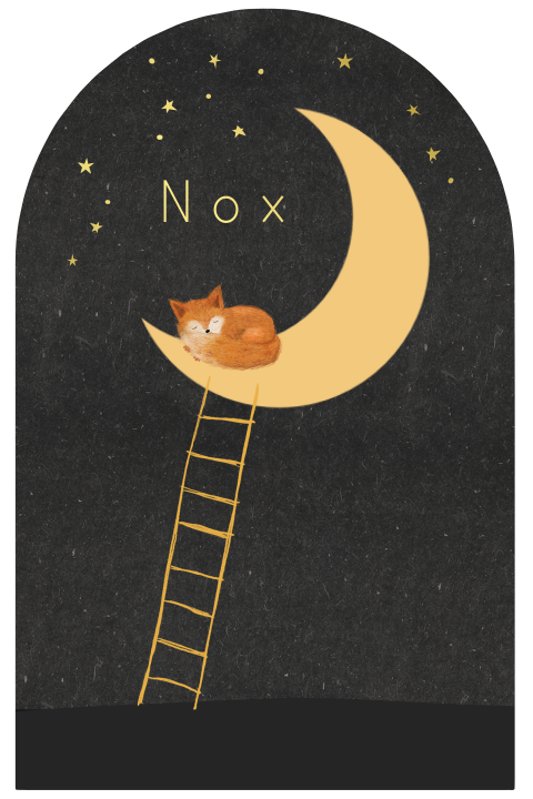 Geboortekaartje boog laddertje naar de maan met goudfolie