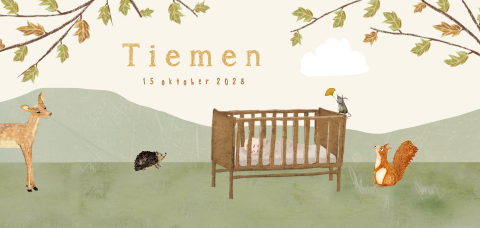 Geboortekaartje baby in ledikantje herfst bos
